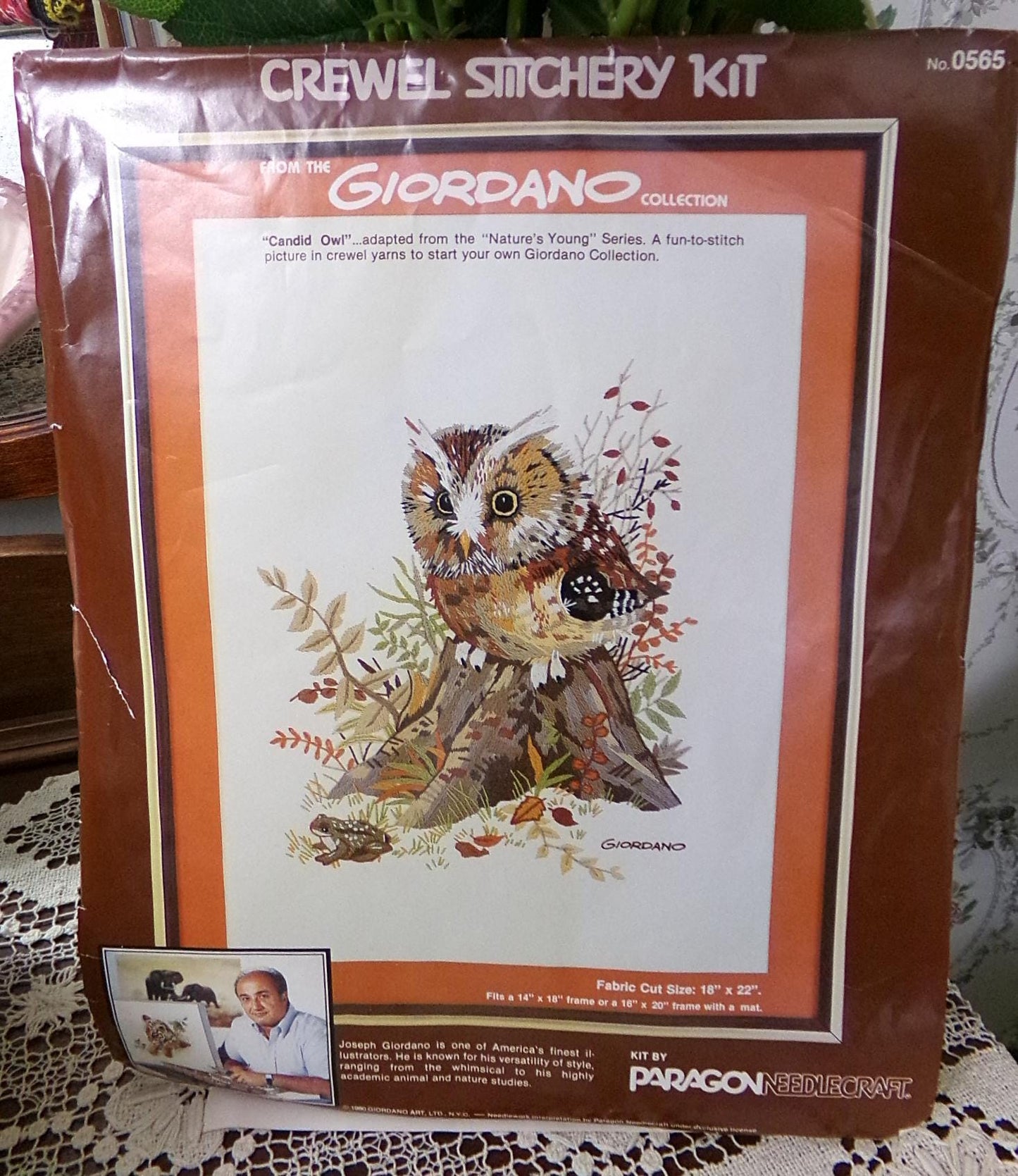 CANDID OWL Crewel Embroidery Kit Vintage Paragon 0565 Giordano Boho Forest Woodland