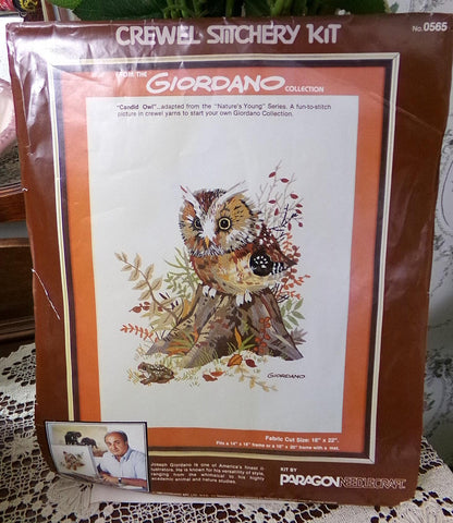 CANDID OWL Crewel Embroidery Kit Vintage Paragon 0565 Giordano Boho Forest Woodland