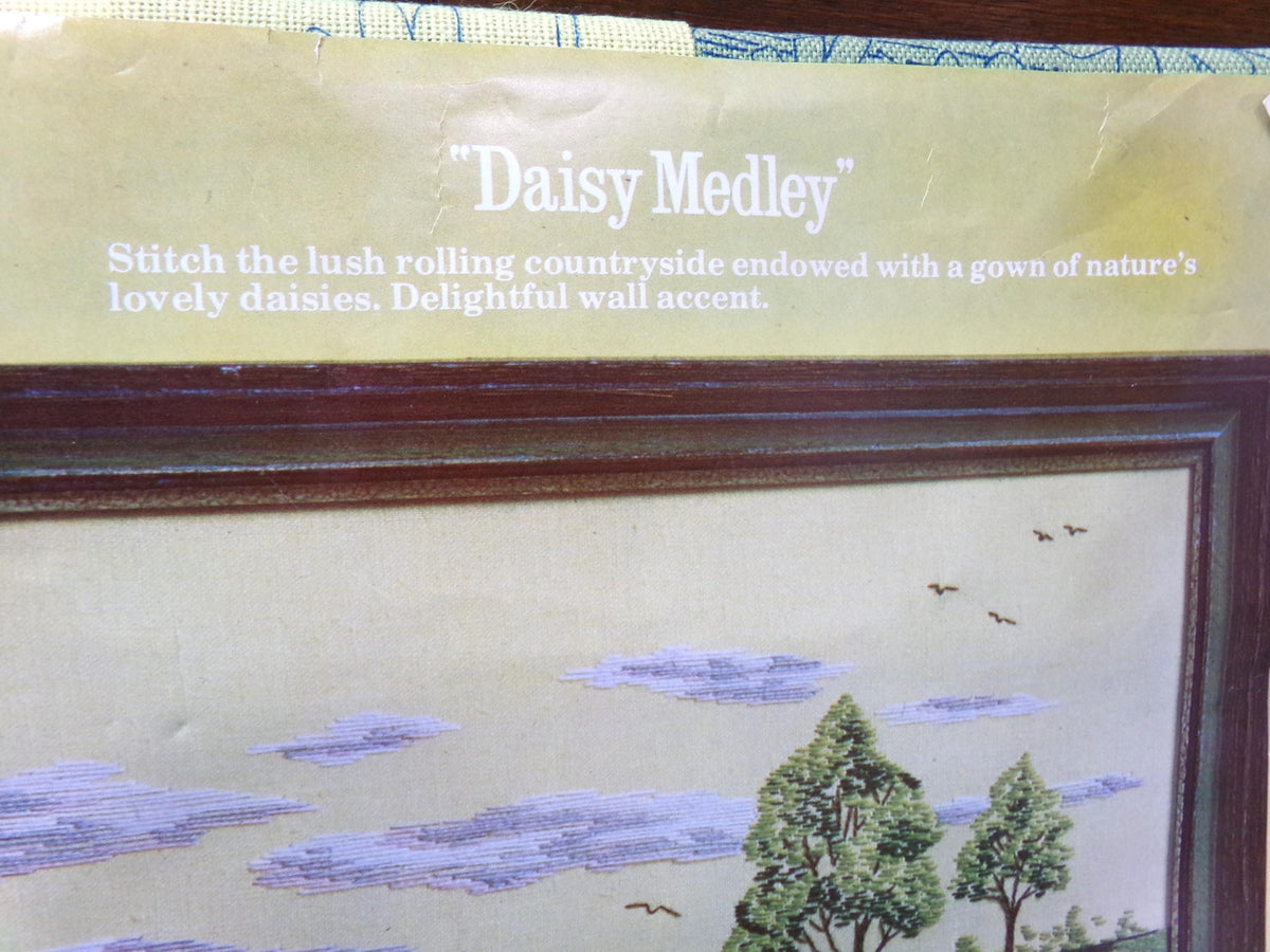 DAISY MEDLEY Vintage Crewel Stitchery Kit, Boho Paragon 0632 Embroidery