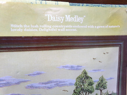 DAISY MEDLEY Vintage Crewel Stitchery Kit, Boho Paragon 0632 Embroidery