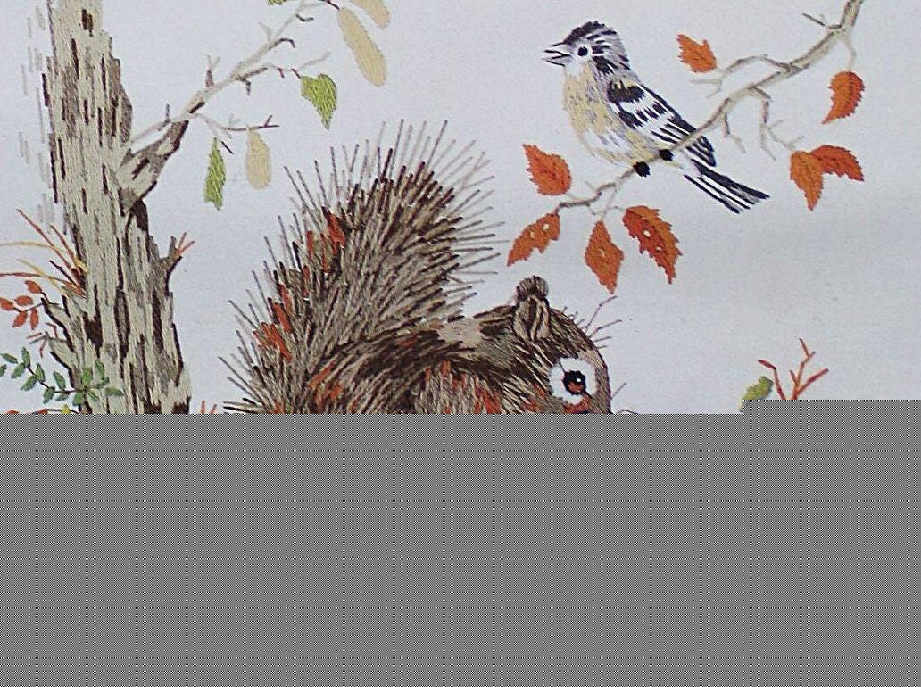 Vintage SQUIRREL and FRIENDS Crewel Embroidery Kit Paragon Stitchery 0333 Giordano