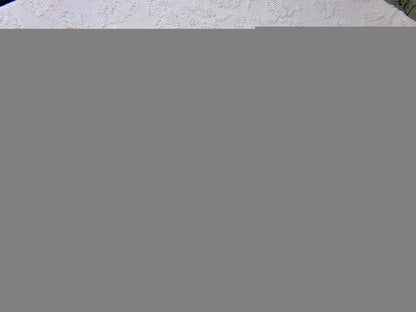golden harvest peach vintage chenille fabric windy puff pops 20" x 23" quilt material