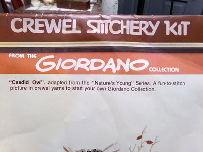 CANDID OWL Crewel Embroidery Kit Vintage Paragon 0565 Giordano Boho Forest Woodland