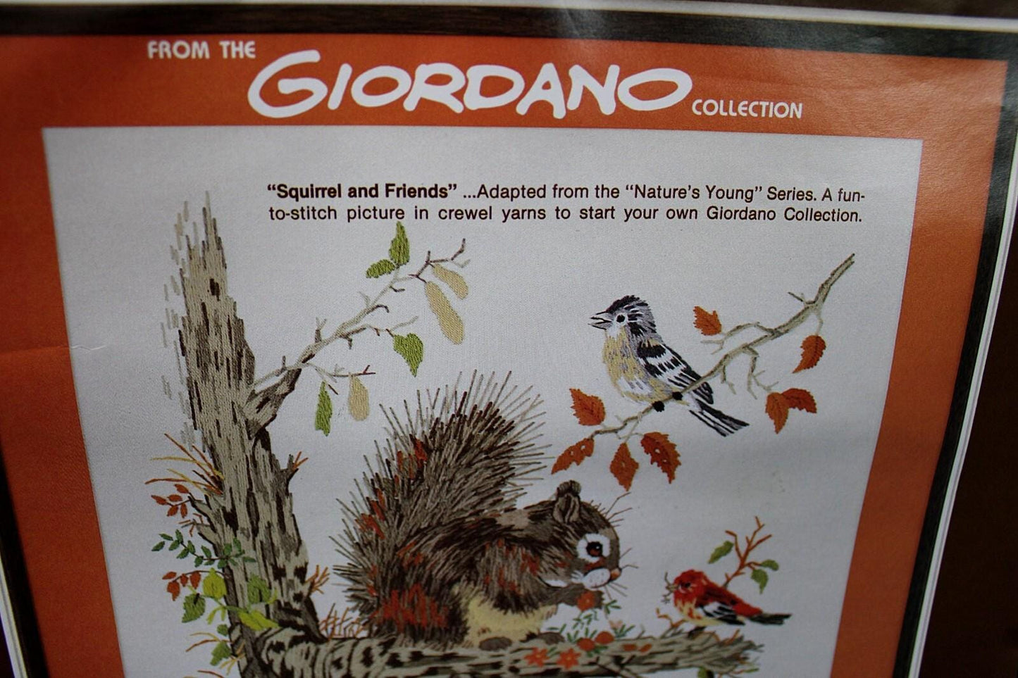 Vintage SQUIRREL and FRIENDS Crewel Embroidery Kit Paragon Stitchery 0333 Giordano