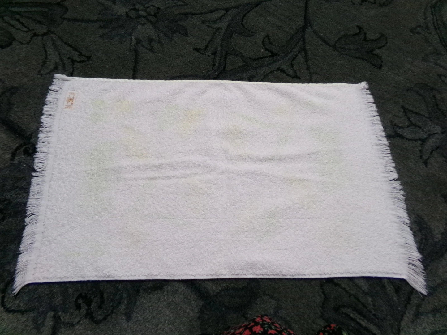 Vintage Frog Towel 1970s Boho Cannon Kitchen Hand Terry Towel 14X24" w/ Fringe