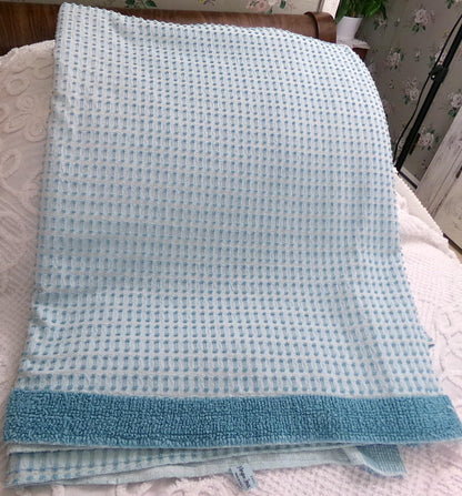 Powder Blue Vintage Chenille Bedspread, Texturized Barbells & Shag Edge Morgan Jones Full Sz