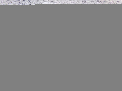 Simple Coin Pops Vintage Style Chenille Fabric Big White Dots 18x24" Quilt Material