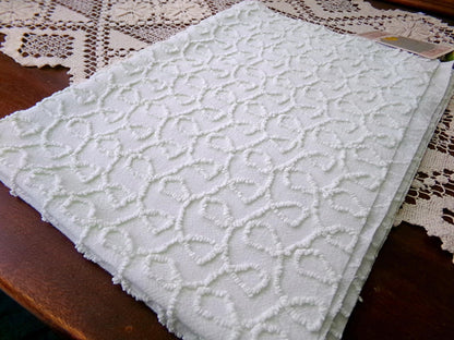 Light Green Vintage Chenille Fabric, Texturized Curly Loops 18x24" Piece