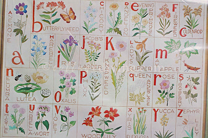 WILDFLOWER ALPHABET SAMPLER Crewel Stitchery Kit Vintage Paragon 0955 Embroidery