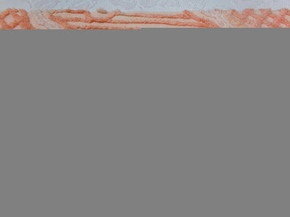 Vintage Cotton Chenille Fabric Peach Mixed Lattice Swag Floral 22x30 Shabby Chic Craft