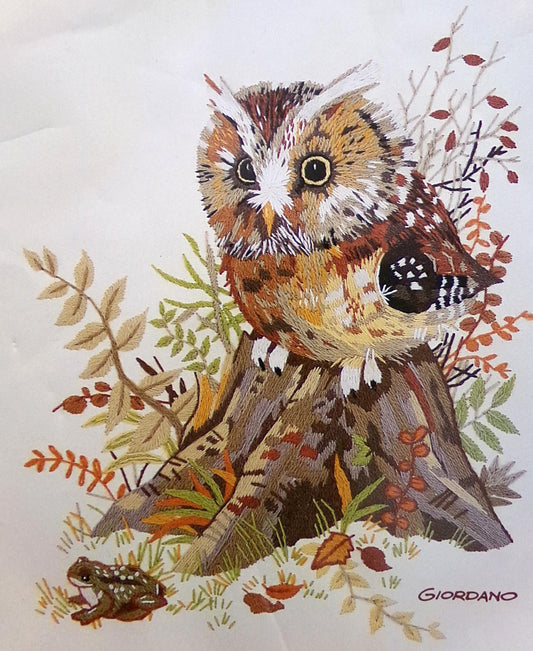 CANDID OWL Crewel Embroidery Kit Vintage Paragon 0565 Giordano Boho Forest Woodland